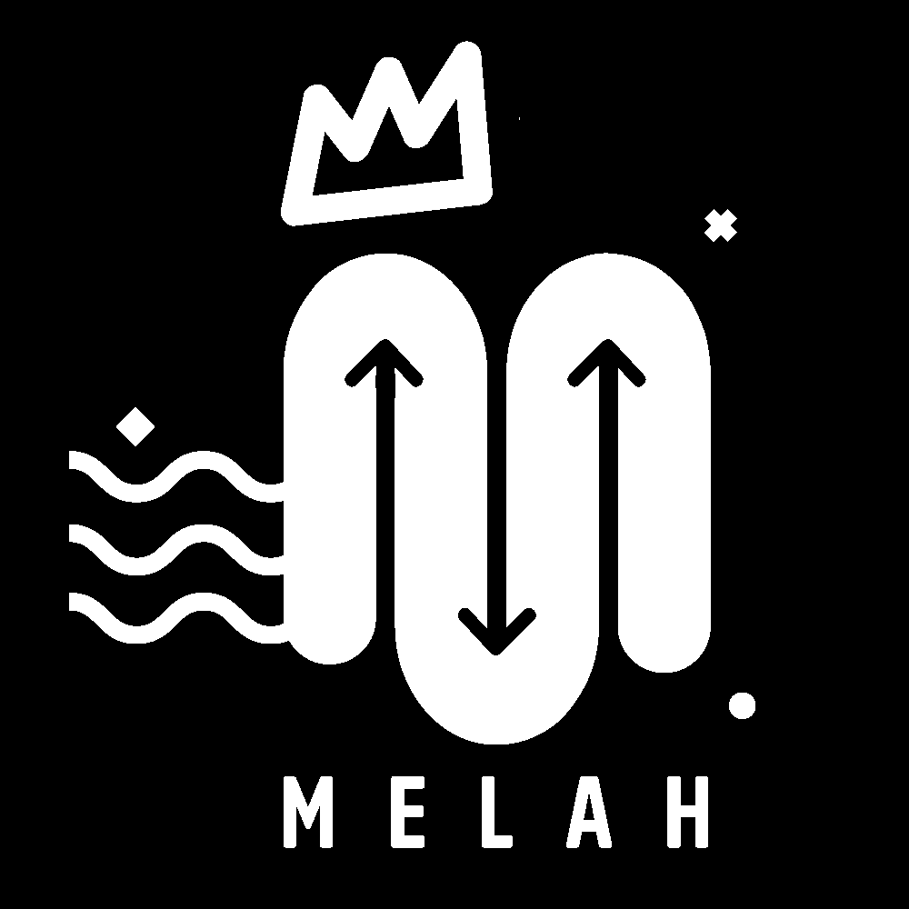 Movimiento de Expresiones Latinoamericanas de Hip Hop